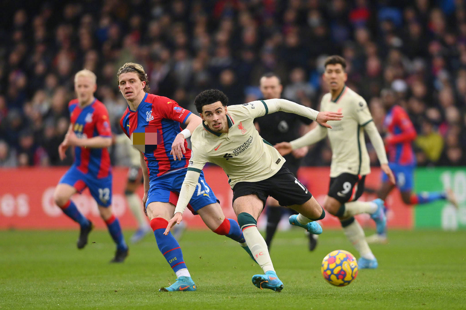 仅是球员与 仅是球员与